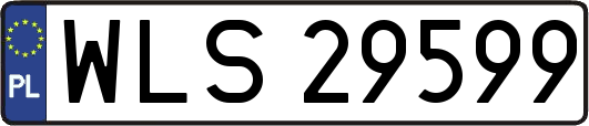 WLS29599