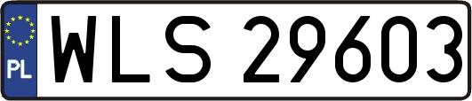 WLS29603
