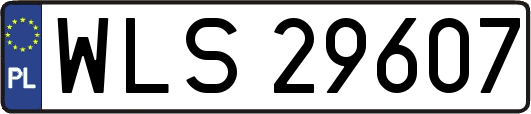 WLS29607