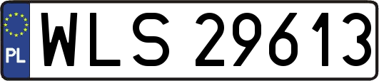 WLS29613