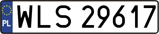WLS29617