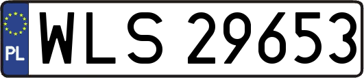 WLS29653