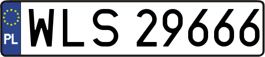 WLS29666
