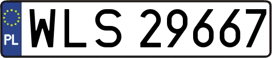 WLS29667