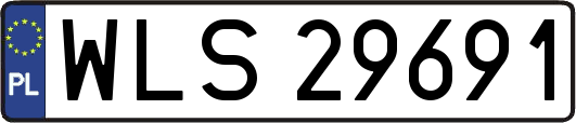 WLS29691