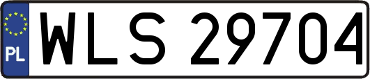 WLS29704