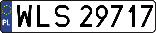 WLS29717