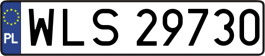 WLS29730