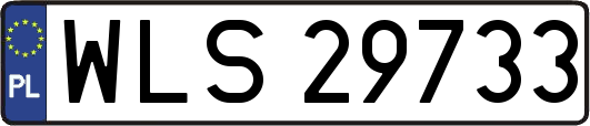 WLS29733