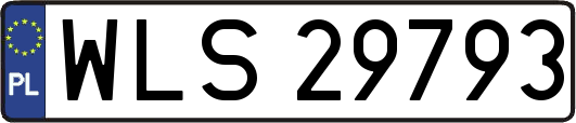 WLS29793