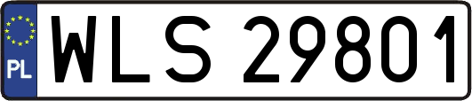 WLS29801