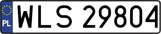 WLS29804
