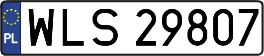 WLS29807