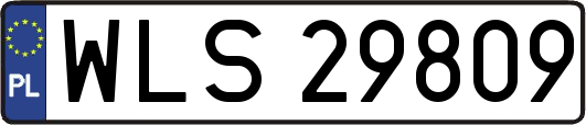 WLS29809