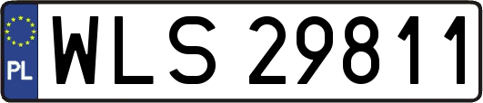 WLS29811