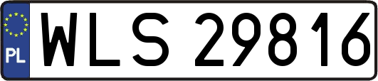 WLS29816