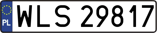 WLS29817