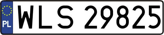 WLS29825