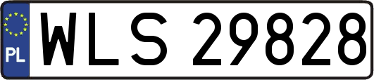 WLS29828