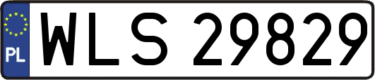 WLS29829