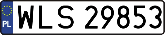 WLS29853