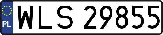 WLS29855