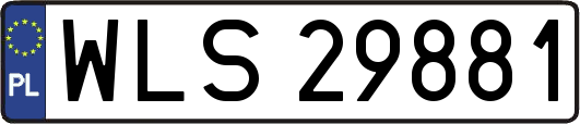WLS29881