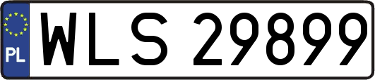 WLS29899
