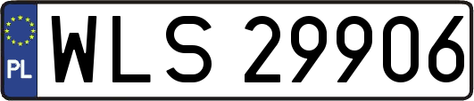 WLS29906