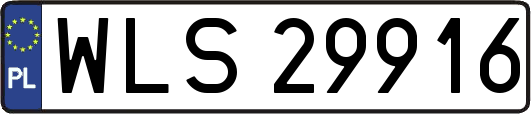 WLS29916