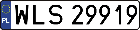 WLS29919