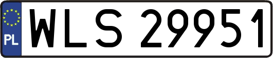 WLS29951