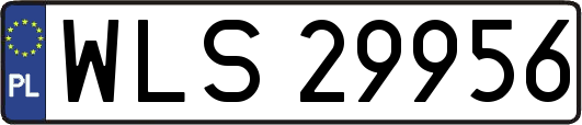 WLS29956