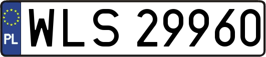 WLS29960