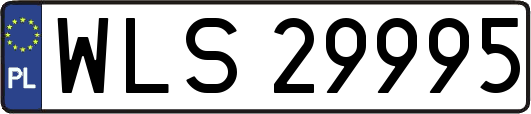 WLS29995