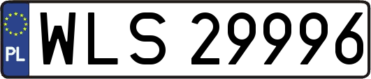 WLS29996