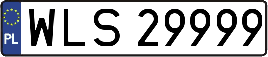 WLS29999