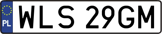 WLS29GM