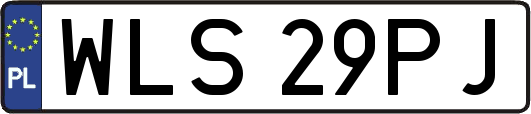 WLS29PJ