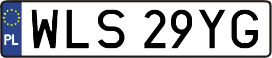 WLS29YG