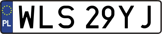 WLS29YJ
