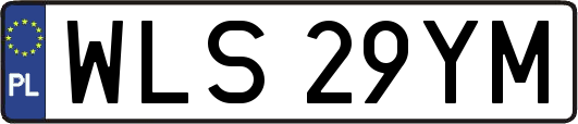 WLS29YM
