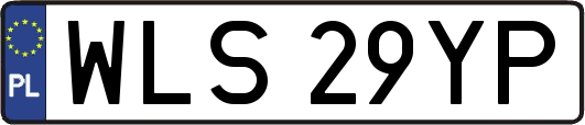 WLS29YP