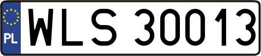 WLS30013