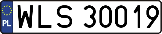 WLS30019