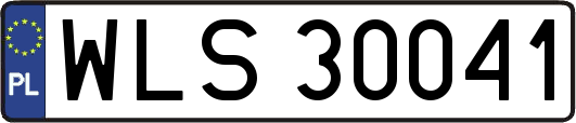 WLS30041