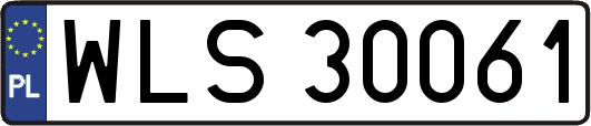 WLS30061