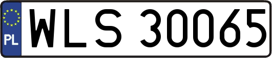 WLS30065
