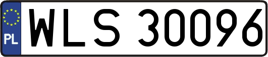 WLS30096