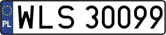 WLS30099